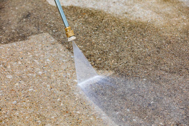 Best Driveway Pressure Washing  in Elizabethton, TN